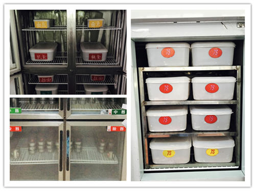 食堂7S管理 食堂7S管理